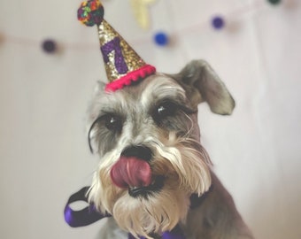 Dog Birthday Party Hat, Custom Birthday Hat, Miniature Party Hat for Cake Smash Pictures