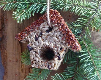 Handcrafted Wild Bird Seed Cake House, Eco-Friendly Backyard Birding Treat (Gift Box)