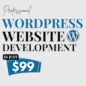 May include: A graphic with the words "Professional WordPress Website Development" in black and blue. The WordPress logo is visible. The text "In Just" is above a blue shape with the number "99" in white.