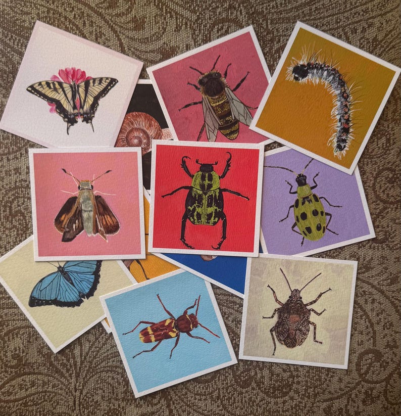 Insects and Animals Art Prints | Hand-drawn Nature Lover Gift - Etsy