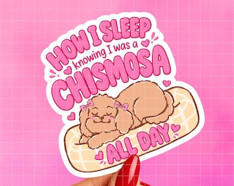 How I Sleep Knowing I Was a Chismosa All Day Sticker, Funny Spanglish Sticker, Cute Dog Sticker, Latina Humor Decal, Laptop Sticker