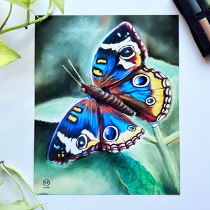 Könnte beinhalten: Ein Aquarellbild eines blauen und braunen Schmetterlings mit gelben und weißen Markierungen. Der Schmetterling sitzt auf einem grünen Blatt vor grünem Hintergrund.