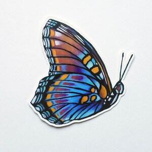 Könnte beinhalten: Ein bunter Schmetterlingsaufkleber mit blauen, violetten, orangefarbenen und weißen Flügeln. Der Schmetterling ist realistisch gezeichnet mit detaillierten Markierungen.