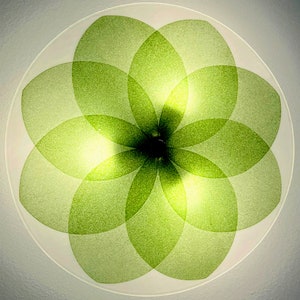 May include: A white ceiling light fixture with a green geometric design. The design is made up of overlapping circles that create a flower-like pattern.