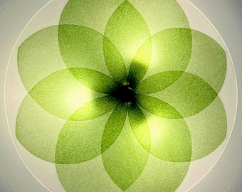 The Lotus Ceiling Light