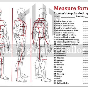 May include: Diagram illustrating body measurements for bespoke clothing. The image shows three figures with red lines indicating measurement points. Text lists measurement names like "height head to toe" and "chest size".