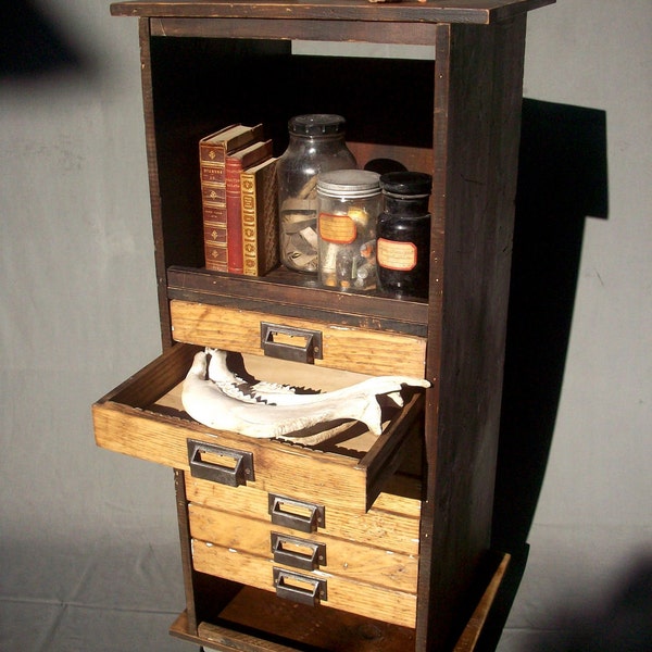 RESERVED for Sue / Collectors 7 Drawer Wood Cabinet with Steel Wheels / Urban Archeologist / Curiosities Storage / Book Shelf