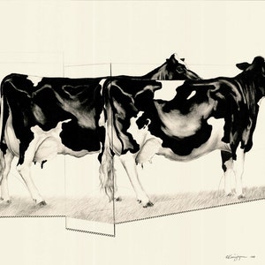 May include: A black and white drawing of two cows. The cows are standing side by side, with one partially obscured by the other. The drawing is done in a realistic style, with detailed shading and highlights. The cows are in a grassy area.