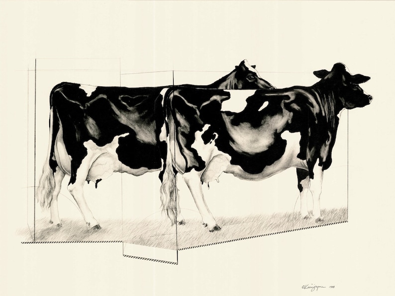 May include: A black and white drawing of two cows. The cows are standing side by side, with one partially obscured by the other. The drawing is done in a realistic style, with detailed shading and highlights. The cows are in a grassy area.