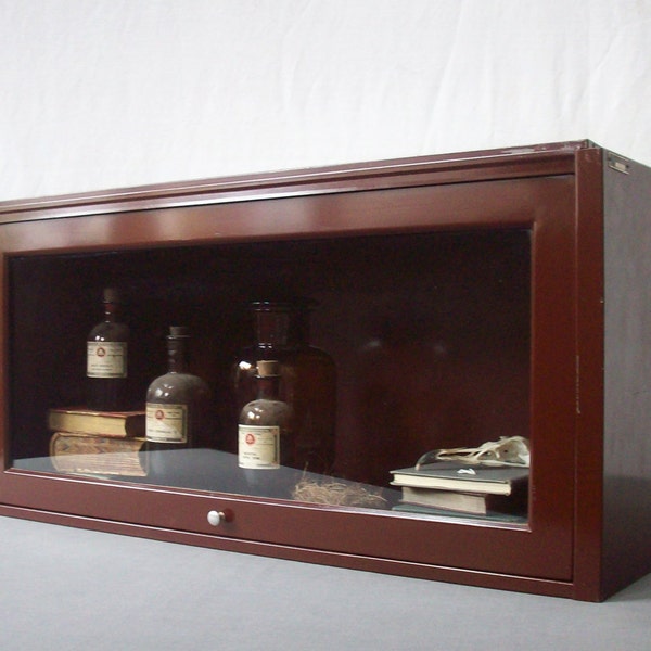 Bibliothèque avocat Barrister métal industriel Vintage / métal et verre / livre de stockage / curiosités Collection vitrine / Chestnut Brown