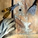 Owner of <a href='https://www.etsy.com/shop/urgestudio?ref=l2-about-shopname&from_page=listing' class='wt-text-link'>urgestudio</a>