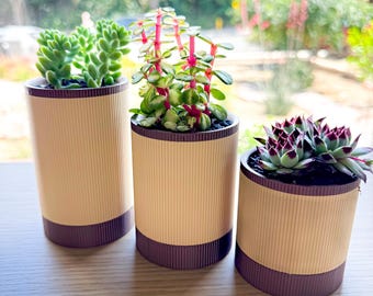 Modern Succulent Planter - Beige/Brown | Minimalist 3D Printed Plant Pot | Desk & Home Decor