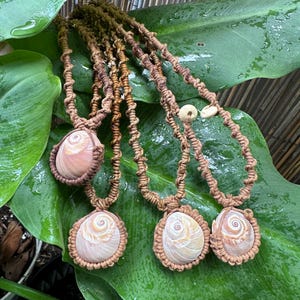 May include: Four handmade seashell necklaces with brown macrame cords. Each necklace features a large, light-colored seashell pendant with a spiral design, set in a macrame frame. The necklaces are displayed on large, wet green leaves.