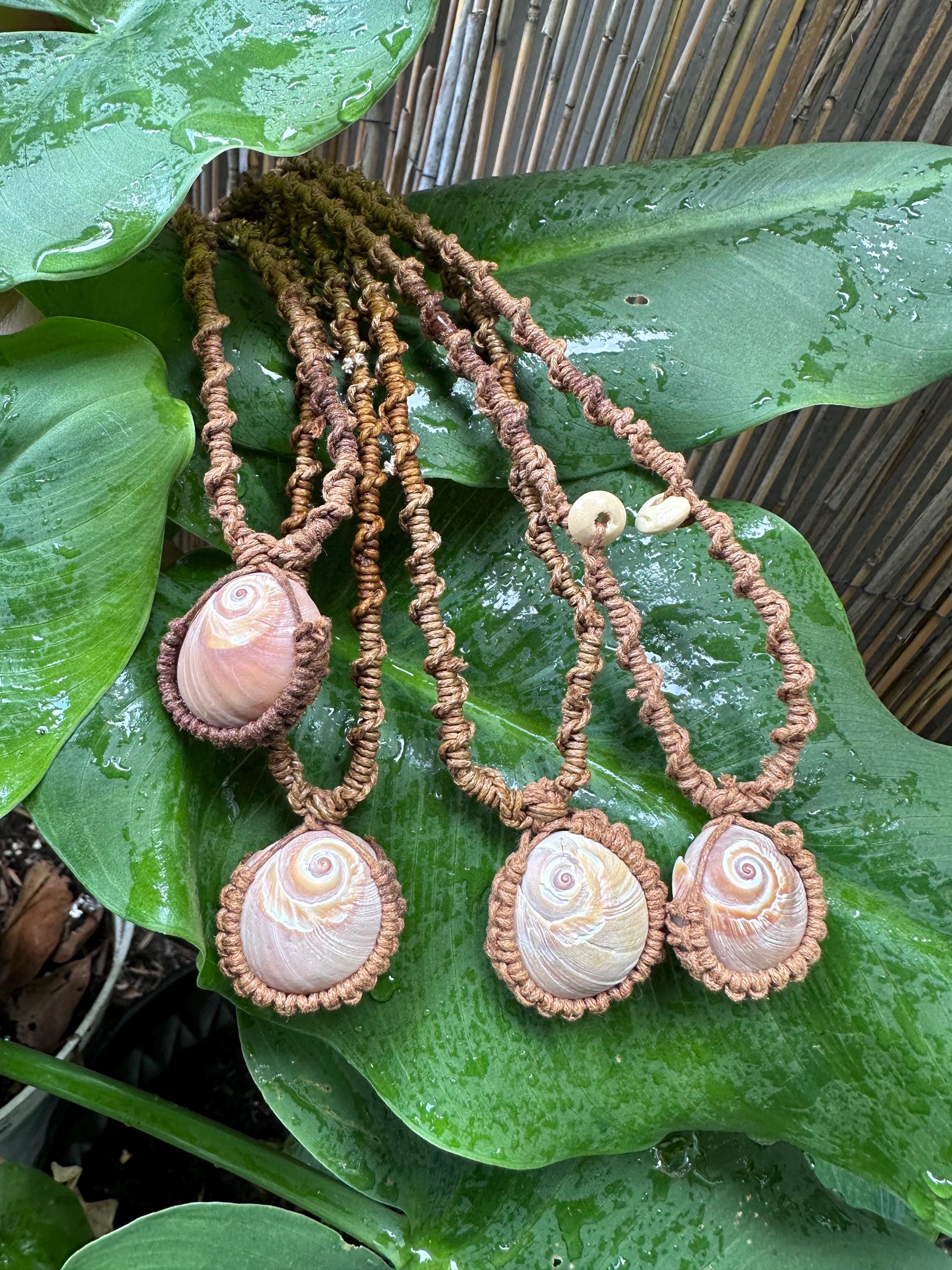Natural Shell Macrame Style Necklace - Etsy