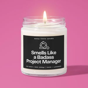 Badass Project Manager Candle, Funny Project Manager Gifts, PMP Program Manager, Project Coordinator, Project Lead, Soy Wax Candle Gift