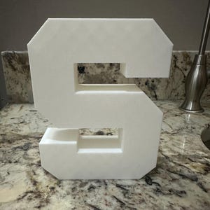 Michigan State Spartan Block S