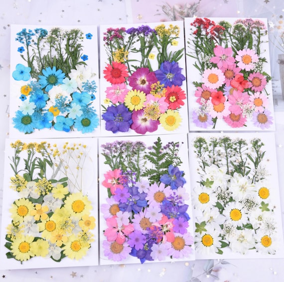 Natural Dried Flowers Resin Molds, Dried Flowers Decoration