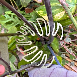 May include: A white, wavy plant support structure is shown, spiraling around a plant stem. The support is made of a light-colored material and is set against a backdrop of green leaves and stems. The image is a close-up, highlighting the plant and its support.