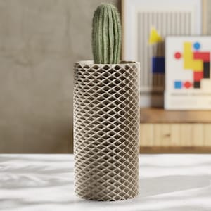 May include: A tall, cylindrical beige planter with a geometric honeycomb design, holding a green cactus. The planter is on a white surface. The background includes a neutral wall and a wooden shelf with artwork.