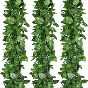 Peut inclure: Trois brins de fausses vignes vertes avec des feuilles en forme de cœur. Les feuilles présentent un mélange de teintes vertes claires et foncées, créant un aspect réaliste. Les vignes sont disposées verticalement sur fond blanc.