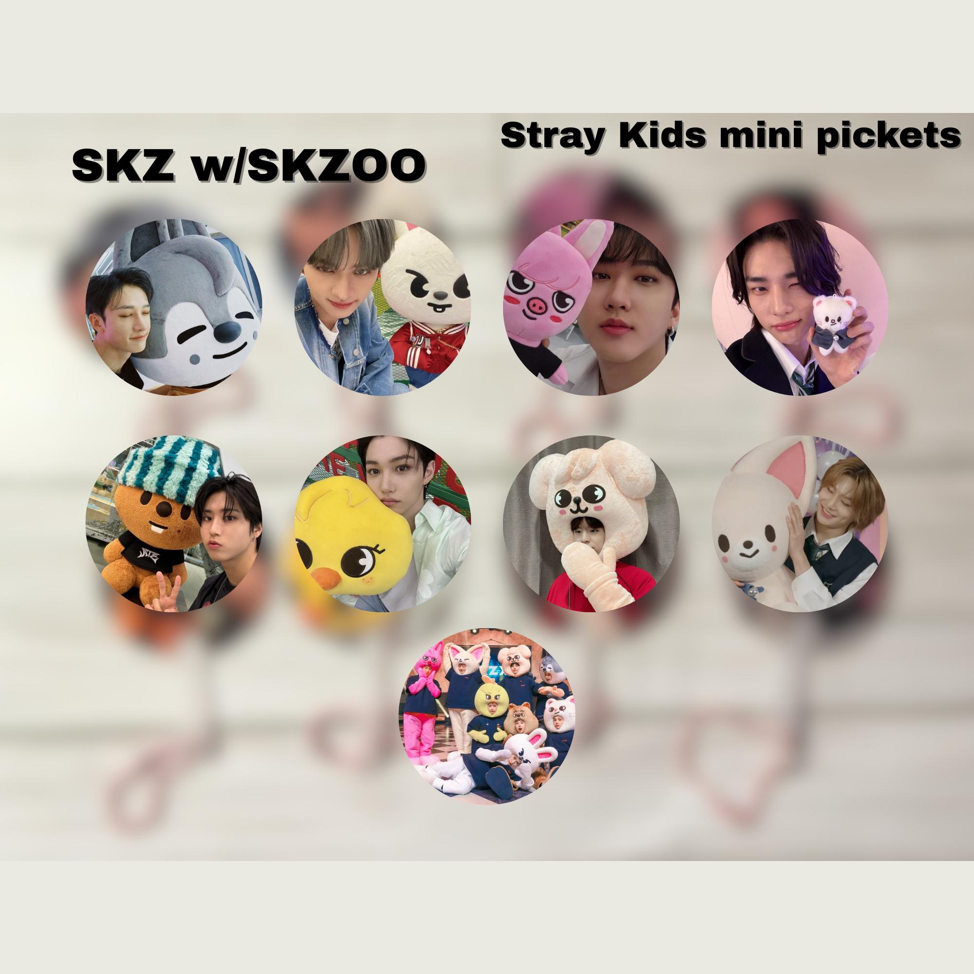 K-pop Stray Kids SKZOO Mini Fan Picket Keychain - Etsy