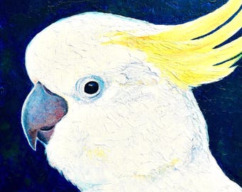 Sulphur Crested Cockatoo Oil Painting, Australian native bird art, bird wildlife