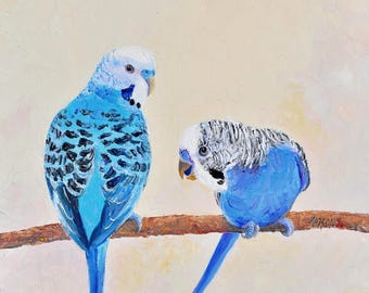 Pair of Budgerigar Birds original oil painting, framed Australian bird art, wildlife lover gift, blue budgies