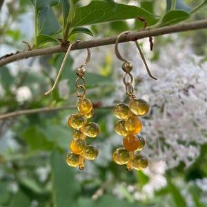Amber glass gold plated earrings