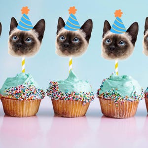 Topos de cupcake personalizados com rosto de animal de estimação // Topo de aniversário engraçado para animal de estimação, escolhas de rosto de cachorro ou gato, decoração personalizada para festa de animal de estimação, topo de cupcake com foto