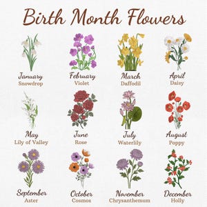 May include: An illustrated chart of birth month flowers. Each month features a different flower: Snowdrop, Violet, Daffodil, Daisy, Lily of Valley, Rose, Waterlily, Poppy, Aster, Cosmos, Chrysanthemum, and Holly.