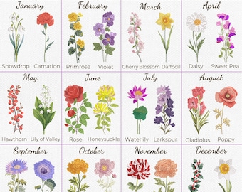 以下が含まれることがあります： 24+ 誕生月の花の刺繍デザインが施されたグリッド。 各月には、スノードロップ、カーネーション、プリムローズ、バイオレット、桜、水仙、デイジー、スイートピー、サンザシ、スズラン、バラ、ハニーサックル、スイレン、ラークスパー、グラジオラス、ポピー、アスター、モーニンググローリー、マリーゴールド、コスモス、菊、シャクヤク、ヒイラギ、水仙など、さまざまな花が描かれています。