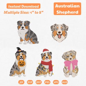 May include: Five machine embroidery designs of Australian Shepherd dogs in various poses and outfits, including a dog with a Halloween pumpkin bucket, a dog in a Santa hat and scarf with lights, and a dog with a pink bow. Text reads: Instant Download Multiple Size: 1" to 8" Australian Shepherd.