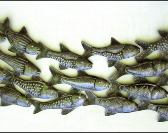 FISH WALL HANGING, School of Fish, 12 x 34, Steel Drum, Metal Fish Wall Decor, Metal Wall Hanging, Fishing, Haitian Art - F-100