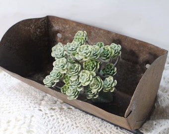 Vintage Industrial Metal Bin, Rustic Decor, Planter, Wall Pocket, Storage Tin, Box, Tray, Elevator Bucket