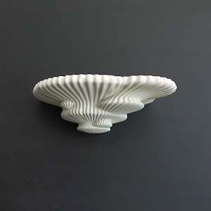 Tinder Fungus Mushroom Shelf | Floating Shelf | Home | Wall | Art | Decor