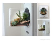 Meterbox Terrarium