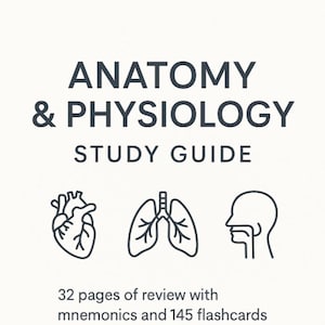 May include: A black and white study guide for anatomy and physiology with illustrations of a heart, lungs, and head. The guide includes 32 pages of review with mnemonics and 145 flashcards. Created by Caffeine Medic.