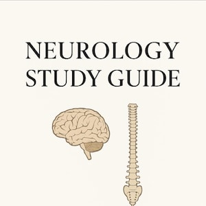 May include: A study guide for neurology with illustrations of the brain and spinal cord. The text reads "Neurology Study Guide" and "15 pages of review + 150 flashcards. Created by CaffeineMedic."