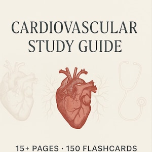 Op de afbeelding: Een studiegids voor cardiovasculaire gezondheid met een rode anatomische hartillustratie, een stethoscoop en de tekst "CARDIOVASCULAR STUDY GUIDE 15+ PAGES · 150 FLASHCARDS Created by CaffeineMedic".
