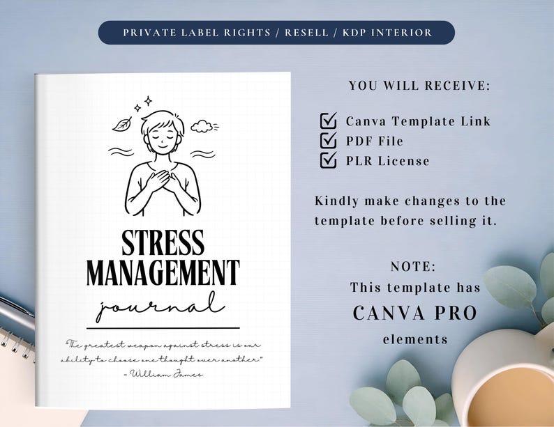 PLR Stress Management Journal for Commercial Use, Printable and Editable Template, Emotional Regulation, Stress-Relief