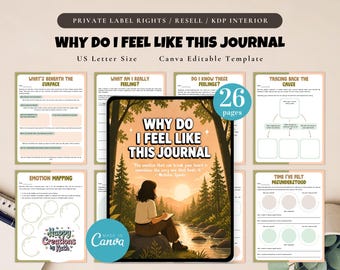 PLR / Resell Why Do I Feel Like This Journal, Printable and Editable for Commercial Use, Feelings Journal, Understanding What I Feel