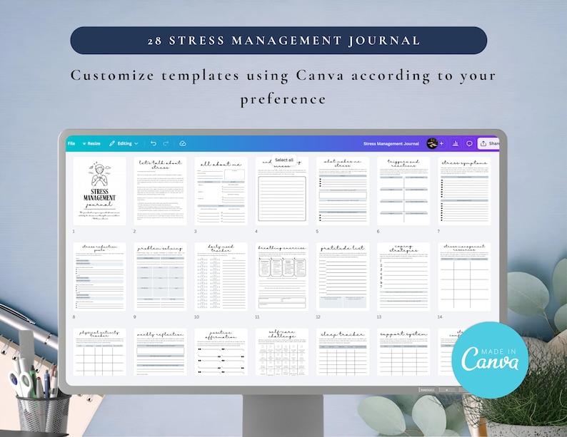 PLR Stress Management Journal for Commercial Use, Printable and Editable Template, Emotional Regulation, Stress-Relief
