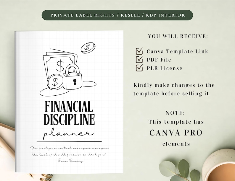 Planificador de Disciplina Financiera PLR para Uso Comercial, Plantilla Imprimible y Editable / Planificador de Hábitos Financieros imagen 2