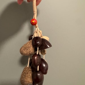 Natural  5 Mixed Seed Rattle|Relaxation|Sound Healing|Yoga|Meditation Nut Shell Shaker| Bag Charm |Car Decor（Juju,Pala,Pangi,Kenari)