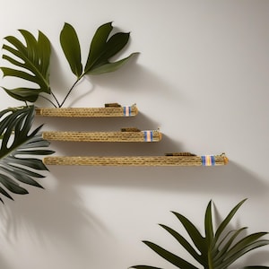 20inch| 30inch| 40inch| 59inch Chilean Cactus Rainstick – Natural Sound Healing Instrument
