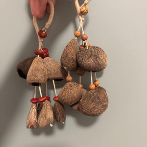 2pcs Handcrafted Pangi Seed Rattle: Natural Sound Healing, Yoga, Meditation