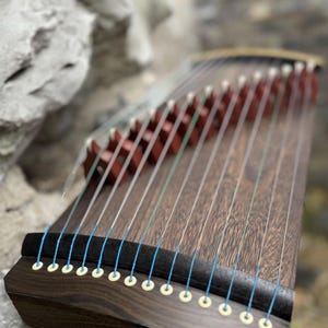Guzheng portatile da 24 pollici e 14 corde per principianti e viaggiatori / Mini cetra cinese tradizionale / Monocordo / Arpa / Koto