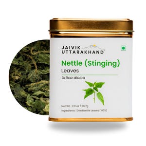 Può includere: Una scatola quadrata con coperchio dorato ed etichetta bianca con la scritta "Nettle (Stinging) Leaves". L'etichetta include un'illustrazione di foglie verdi e il testo "Urtica dioica". Il peso netto è di 56,7 g. Foglie di ortica essiccate visibili a sinistra.