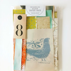 May include: A mixed paper pack with assorted offcuts from Paper Squirrel Store. The pack includes various paper pieces with different textures, colors, and patterns, including a paper with a blue bird illustration and the word "GREETINGS".