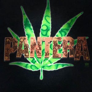 Vintage 90s Band Tee PANTERA World Tour 1994